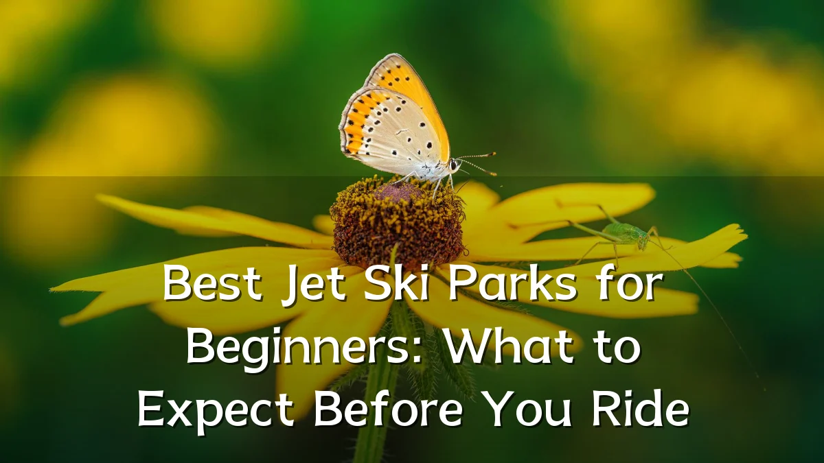 Best Jet Ski Parks for Beginners: What to Expect Before You Ride