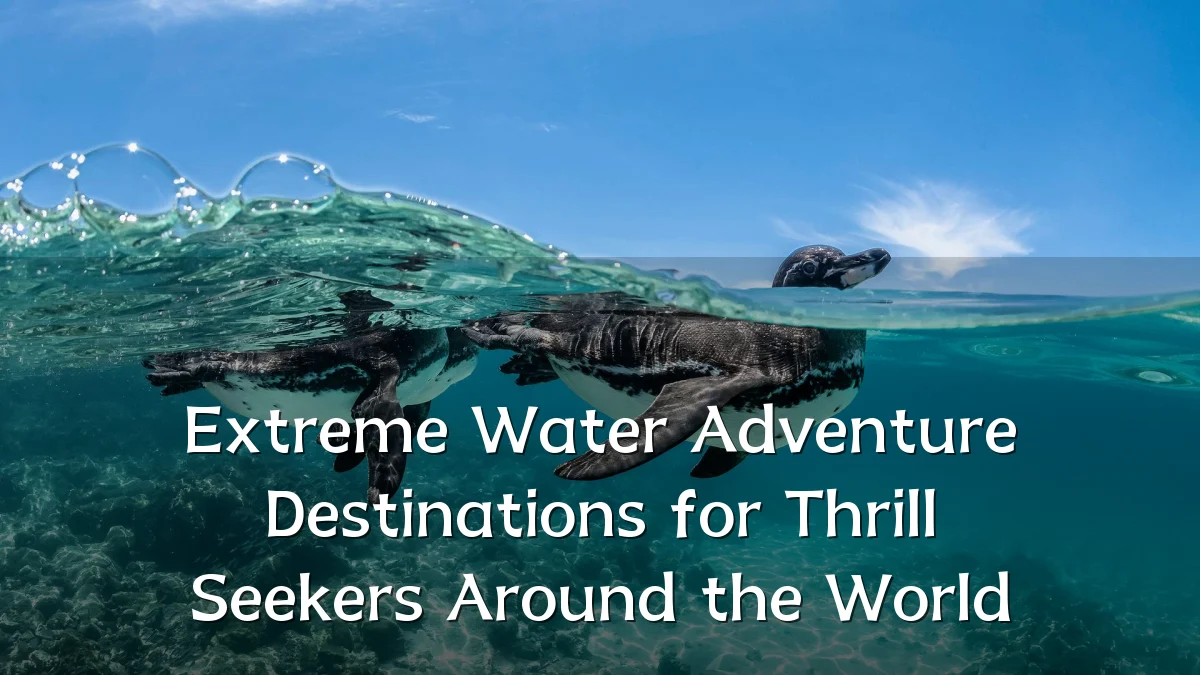 Extreme Water Adventure Destinations for Thrill Seekers Around the World