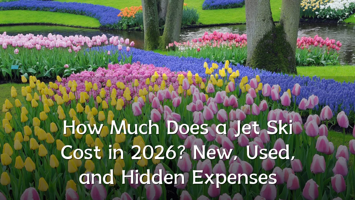 How Much Does a Jet Ski Cost in 2026? New, Used, and Hidden Expenses