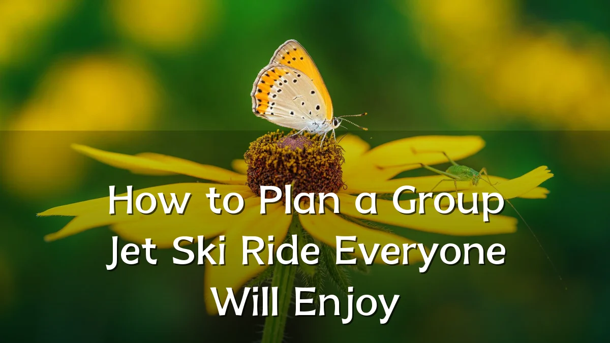 How to Plan a Group Jet Ski Ride Everyone Will Enjoy