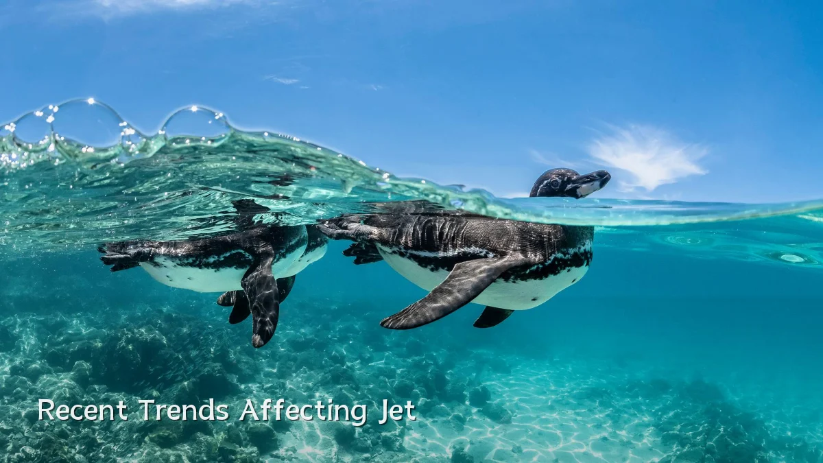 Recent Trends Affecting Jet