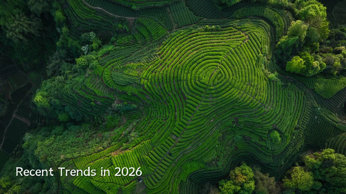 Recent Trends in 2026