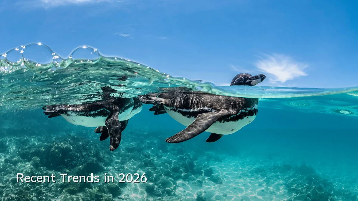 Recent Trends in 2026