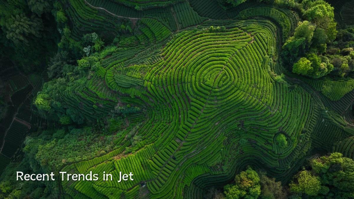 Recent Trends in Jet