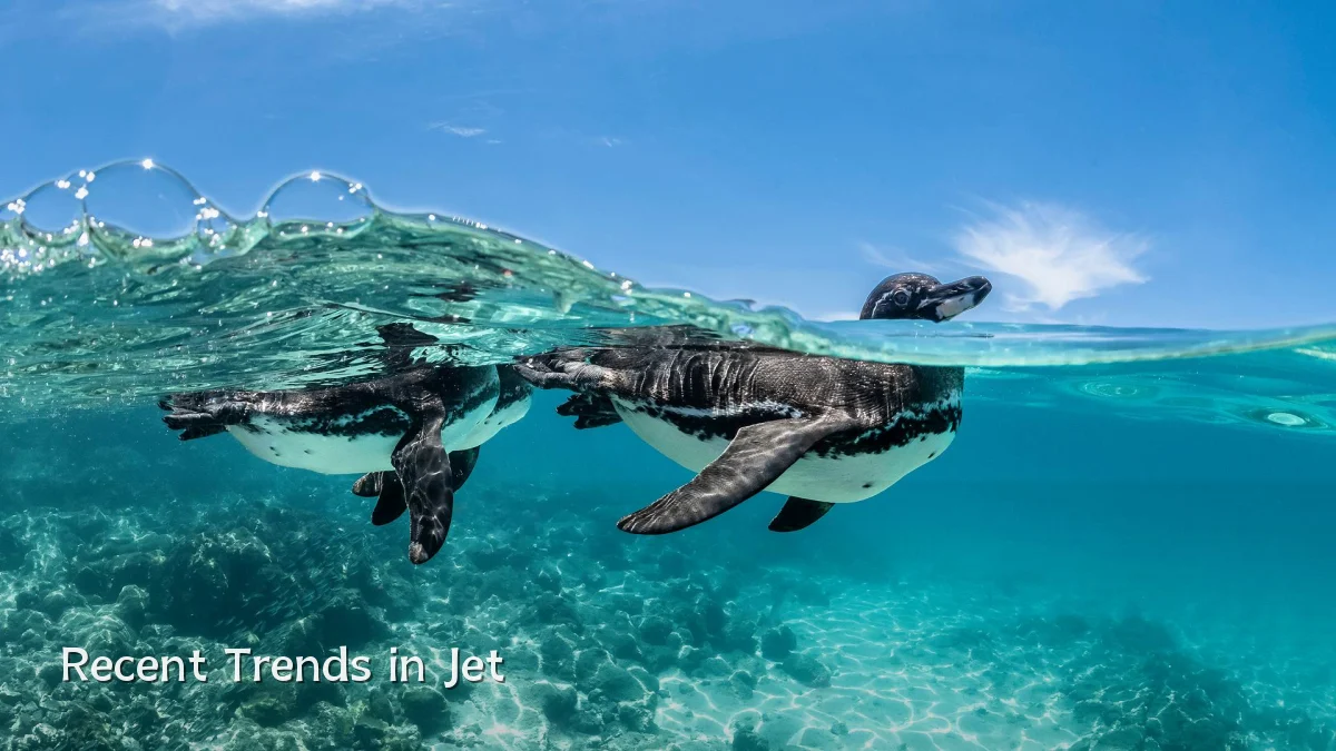 Recent Trends in Jet