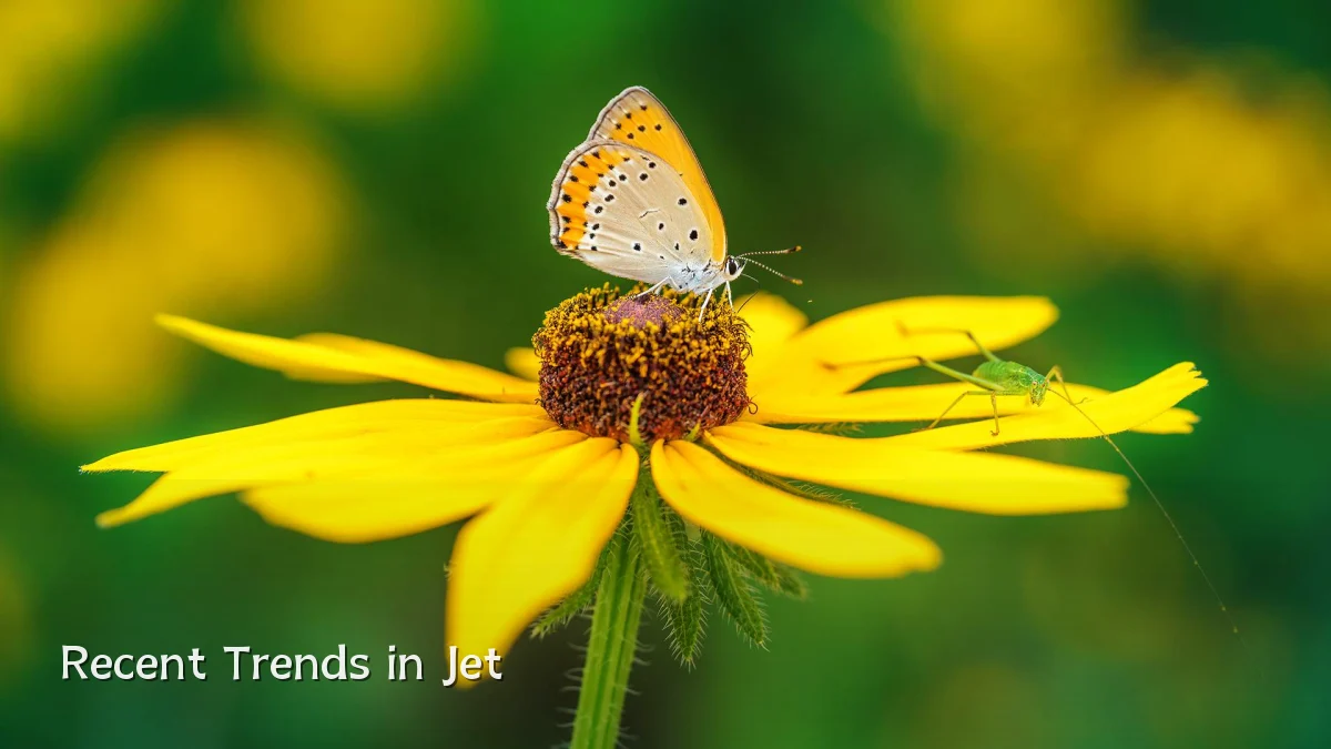 Recent Trends in Jet
