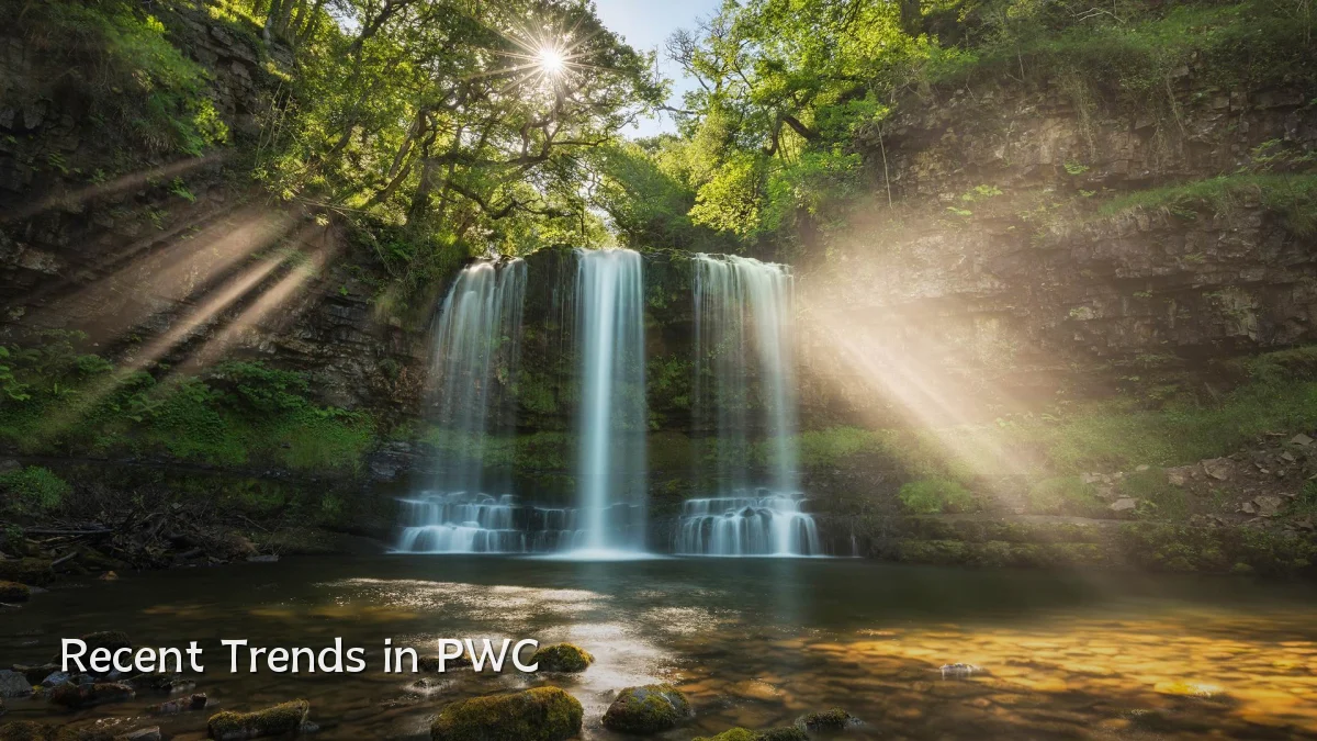 Recent Trends in PWC