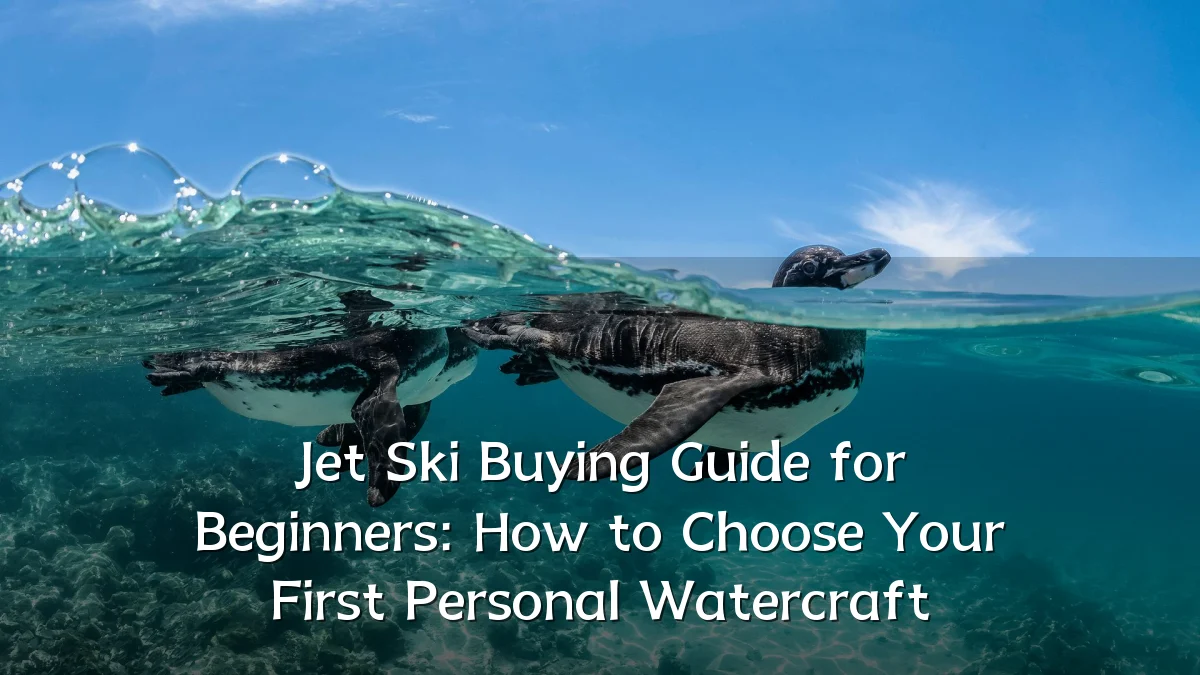 Jet Ski Buying Guide for Beginners: How to Choose Your First Personal Watercraft