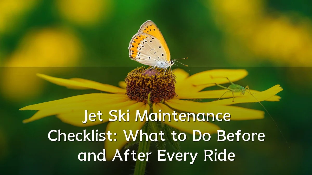 Jet Ski Maintenance Checklist: What to Do Before and After Every Ride