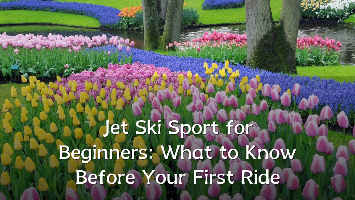 Jet Ski Sport for Beginners: What to Know Before Your First Ride