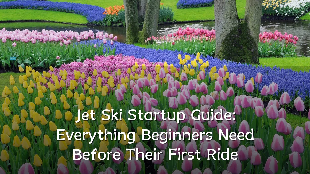 Jet Ski Startup Guide: Everything Beginners Need Before Their First Ride