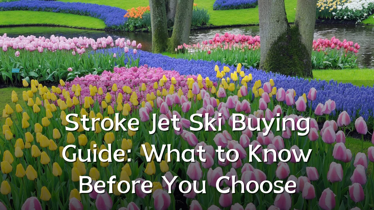 Stroke Jet Ski Buying Guide: What to Know Before You Choose
