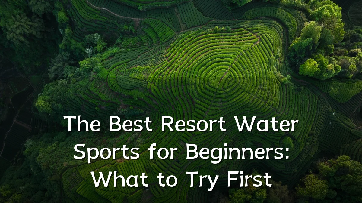 The Best Resort Water Sports for Beginners: What to Try First