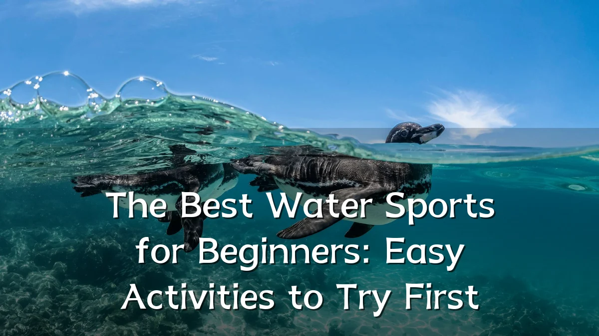 The Best Water Sports for Beginners: Easy Activities to Try First