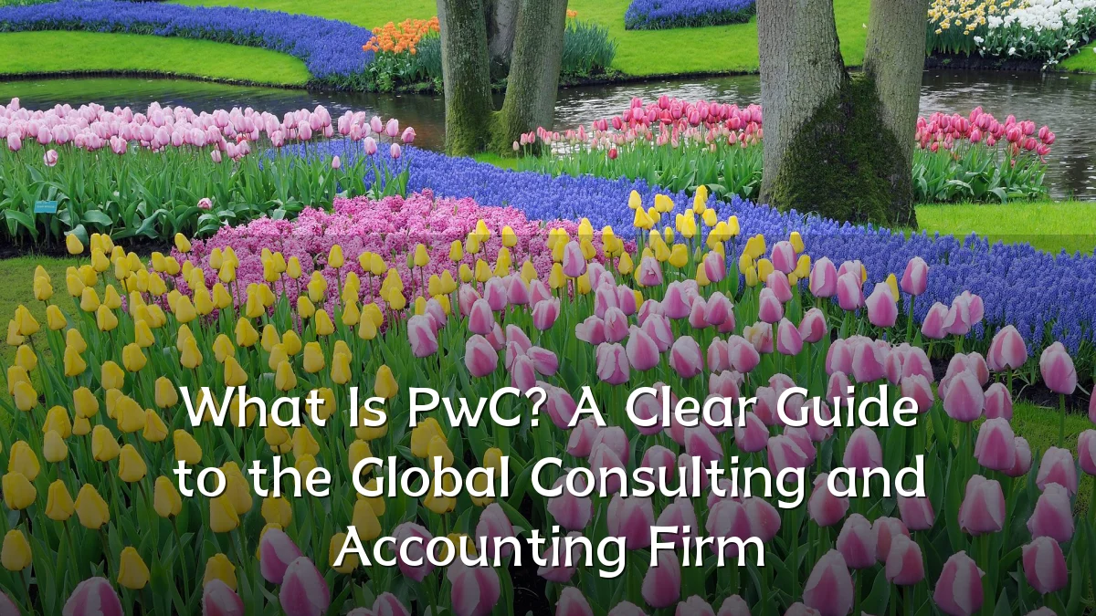 What Is PwC? A Clear Guide to the Global Consulting and Accounting Firm