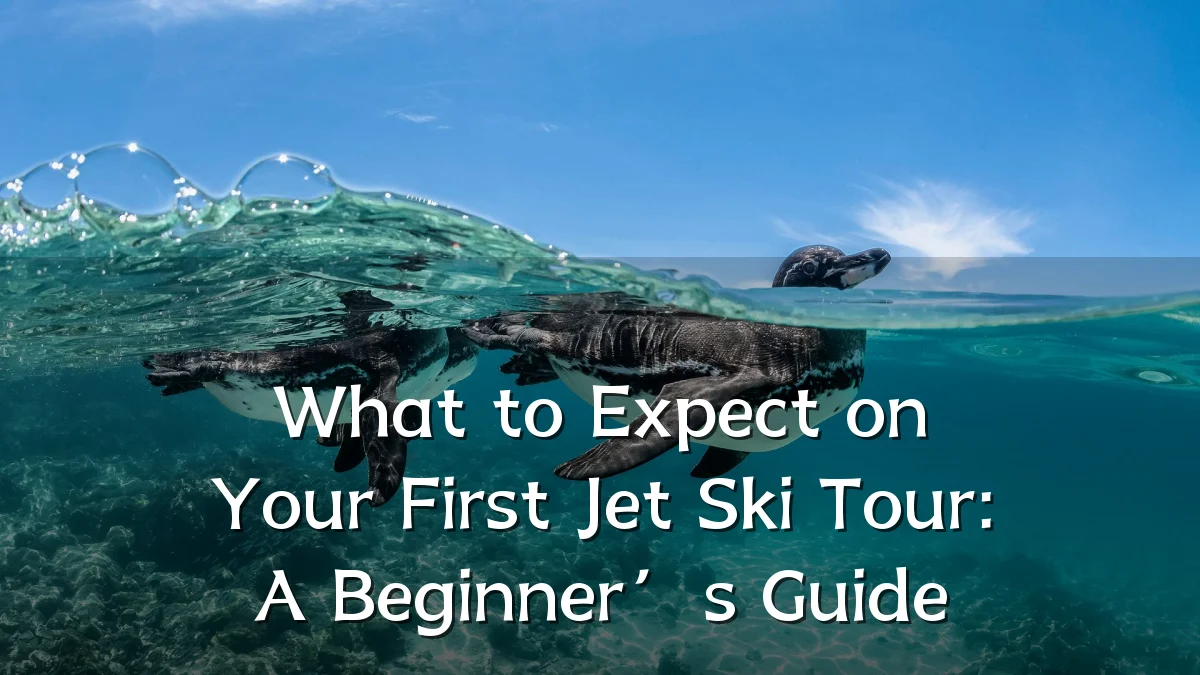 What to Expect on Your First Jet Ski Tour: A Beginner’s Guide