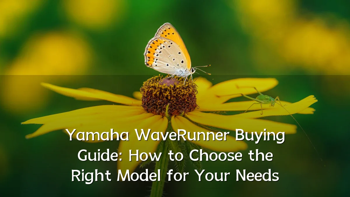 Yamaha WaveRunner Buying Guide: How to Choose the Right Model for Your Needs